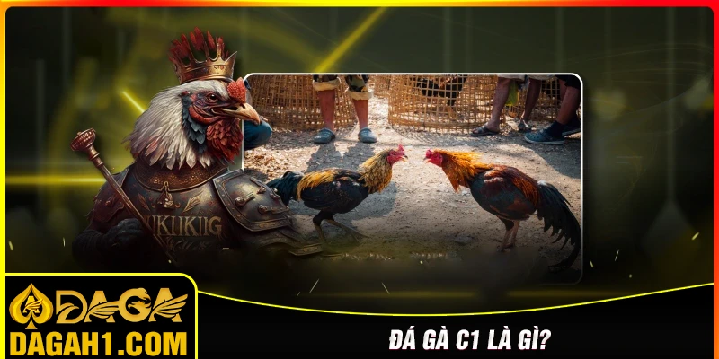 Đá gà C1 là gì?