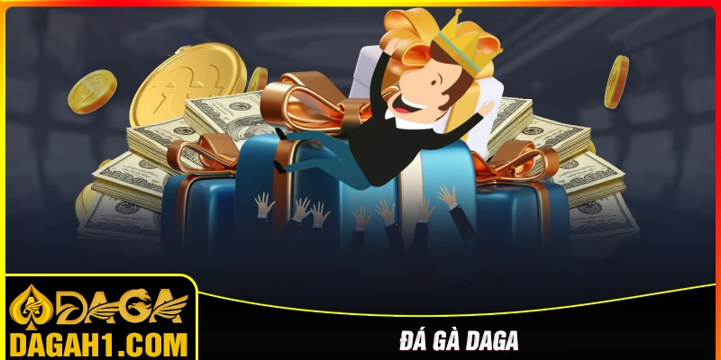 đá gà tại daga