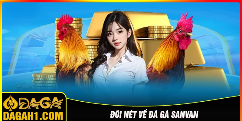 Đôi nét hấp dẫn về bộ môn đá gà Savan