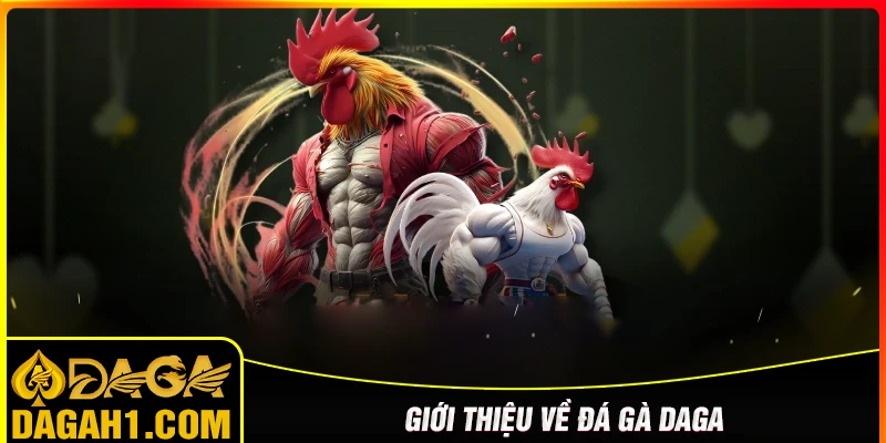 Đôi nét về sân chơi đá gà Daga