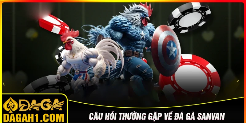 Giải đáp các câu hỏi thường gặp về đá gà Savan