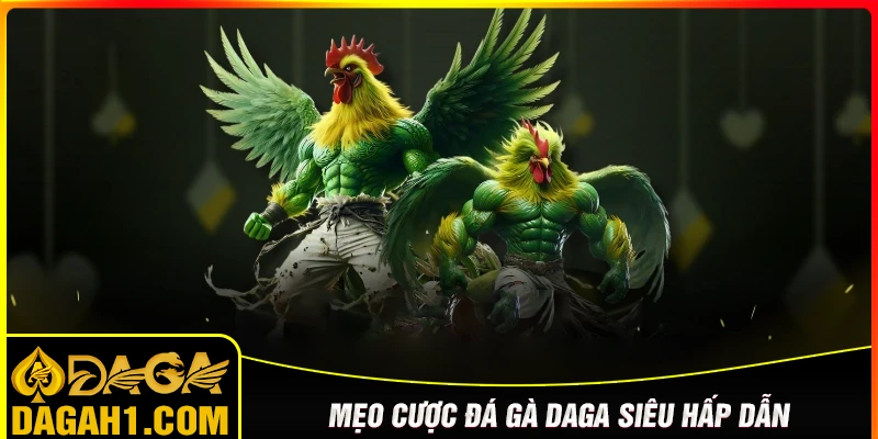 Kinh nghiệm chơi đá gà Daga thắng đậm mỗi ngày