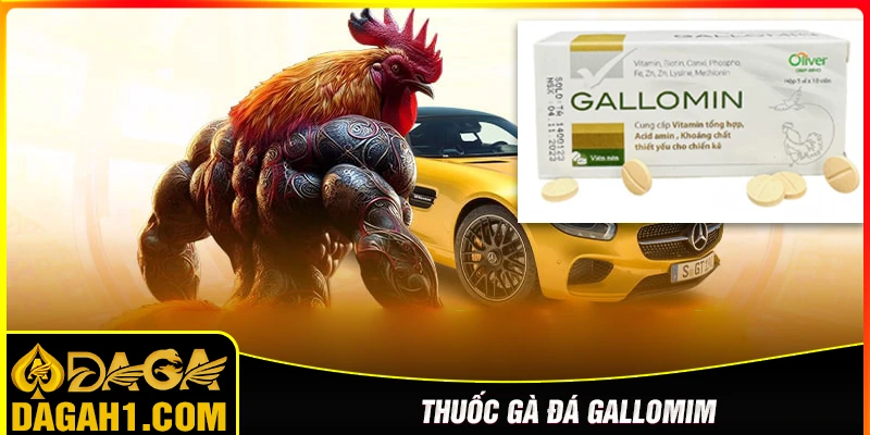 Thuốc gà đá Gallomi