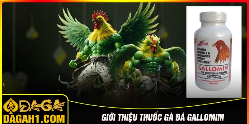Thuốc gà đá Gallomin là gì?