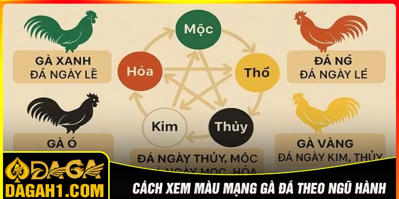Cách xem màu mạng gà đá theo ngũ hành