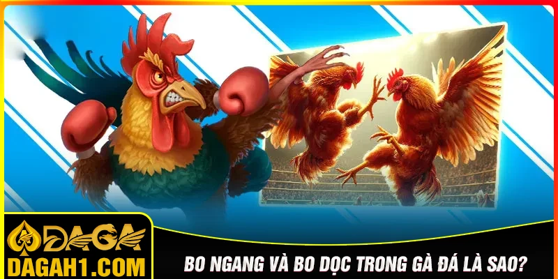 Bo ngang và bo dọc là gì?