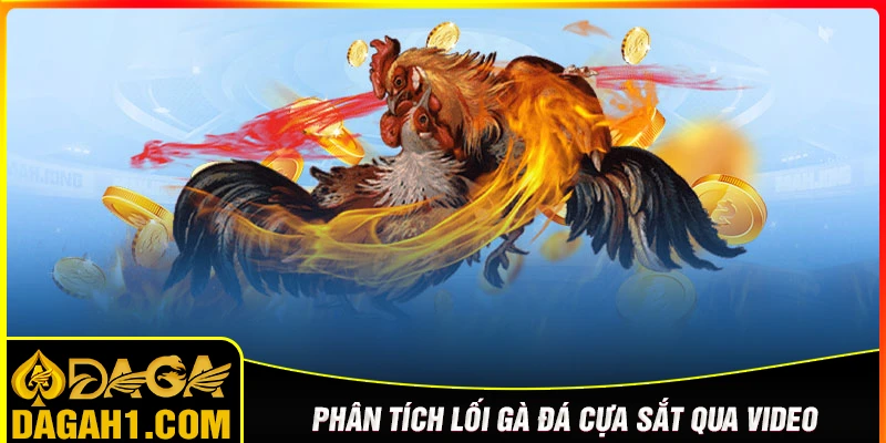 Phân tích lối đá gà cựa sắt qua video