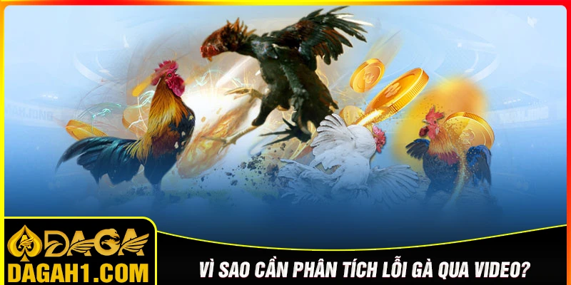 Vì sao cần phân tích lối đá gà cựa sắt qua Video