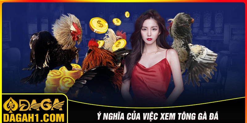 Ý nghĩa của việc xem tông dòng gà đá