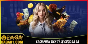 Phân tích tỷ lệ cược trong đá gà trực tiếp